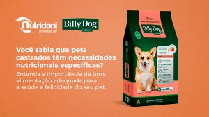 Descubra a Importância de uma Nutrição Adequada para Pets Castrados