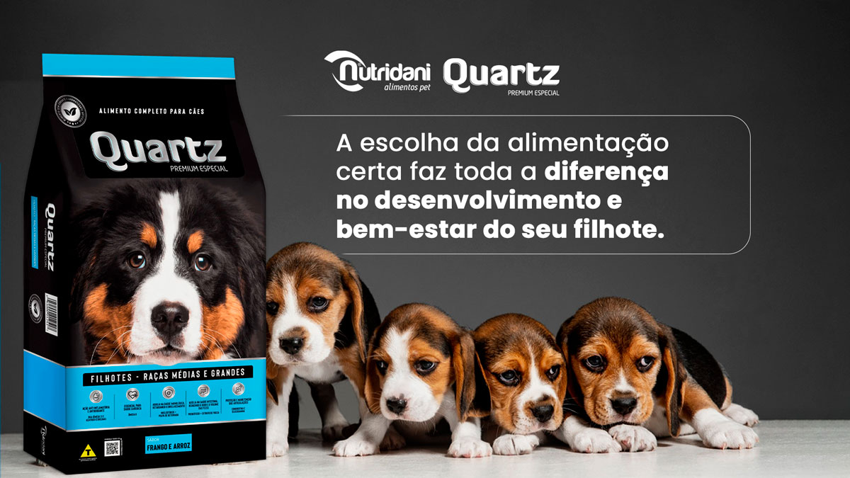 DHA e Açafrão: Ingredientes Essenciais para a Saúde do Seu Pet!