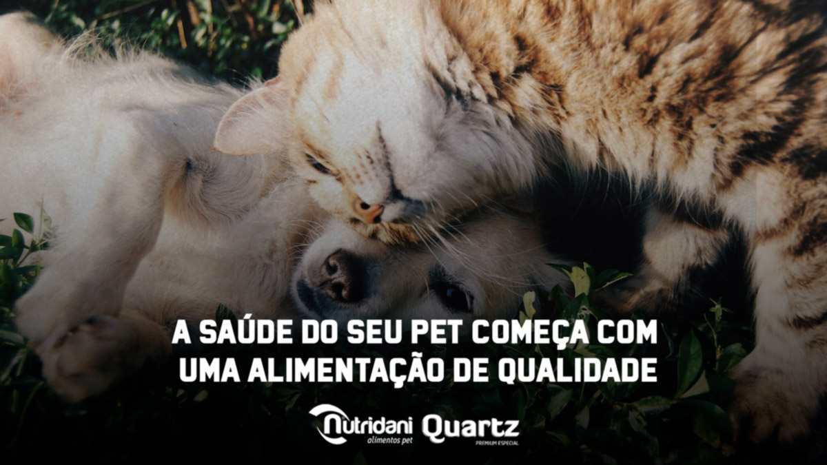 Como a nutrição de qualidade pode ajudar na prevenção de doenças nos seus pets