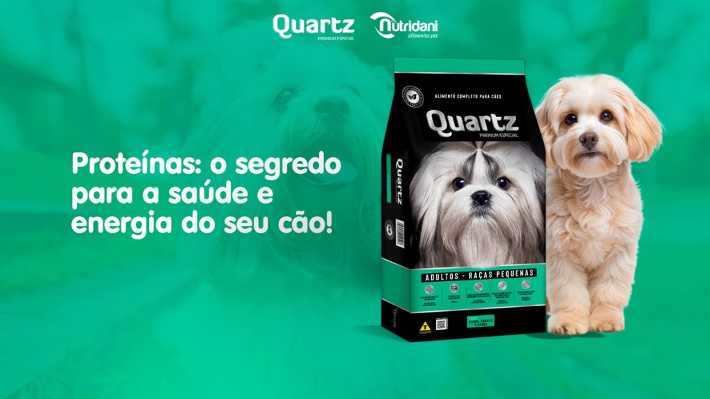 Proteínas: o segredo para a saúde e energia do seu cão!