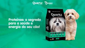 Proteínas: o segredo para a saúde e energia do seu cão!