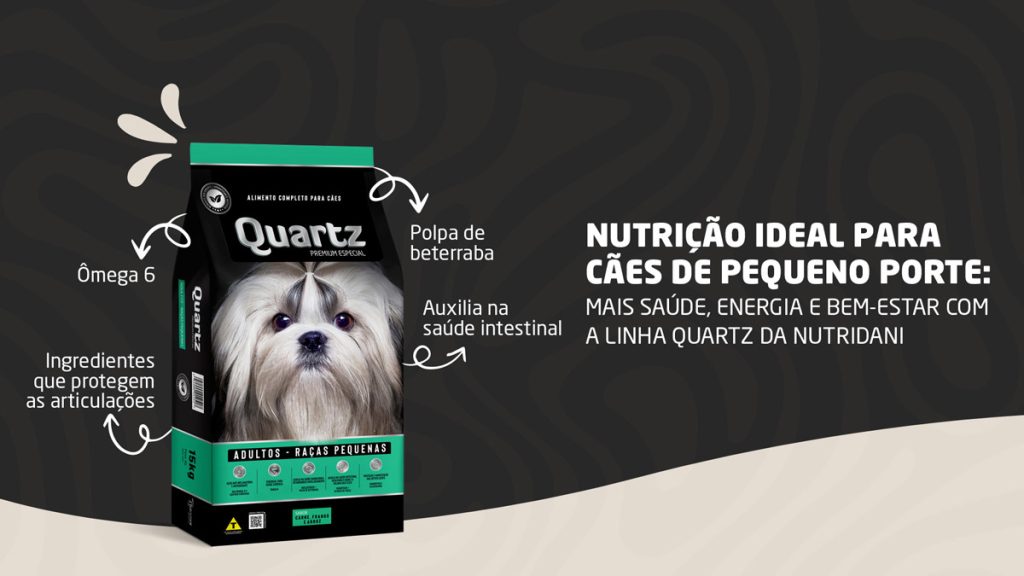 Nutrição ideal para cães de pequeno porte: como garantir mais saúde e vitalidade ao longo da vida