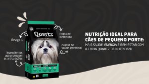 Nutrição ideal para cães de pequeno porte: como garantir mais saúde e vitalidade ao longo da vida