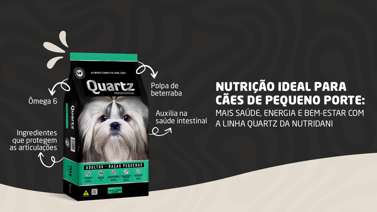 Nutrição ideal para cães de pequeno porte: como garantir mais saúde e vitalidade ao longo da vida