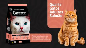 Descubra como prevenir bolas de pelos em gatos com dicas simples e uma alimentação balanceada, presente na Quartz Gatos Adultos Salmão.