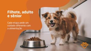 Descubra como deve ser a alimentação de cães filhotes, adultos e sênior e por que ajustar a ração em cada fase da vida faz tanta diferença.