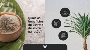 Descubra como o Extrato de Yucca, presente na Linha Quartz, ajuda a reduzir odores, melhora a digestão e traz mais conforto para pets e tutores.