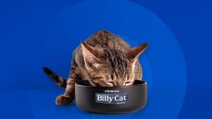 Billy Cat Select Mix combina sabores e nutrição completa para reduzir a monotonia alimentar e melhorar a saúde dos gatos.
