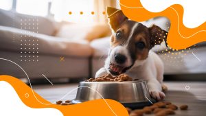 Ansiedade alimentar em pets